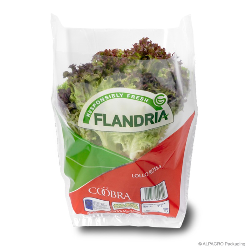 Conical lettuce bags - ALPAGRO Packaging