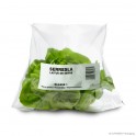 Vegetable bag 'Greenhouse lettuce', LDPE, transparent, 30µ, 37 x 26 + 4 cm